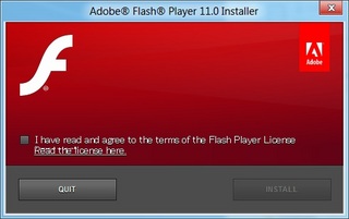 AdobeFlashPlayer11betainstall01.jpg