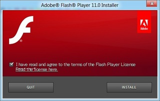 AdobeFlashPlayer11betainstall02.jpg